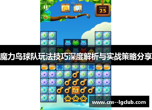 魔力鸟球队玩法技巧深度解析与实战策略分享